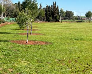 Land for sale in Ciudad Real Capital