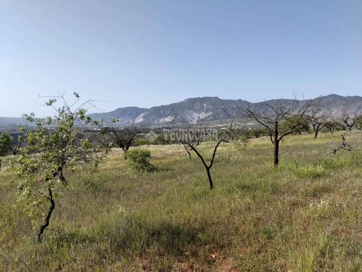 Rural land for sale in Dúrcal, imagen 3