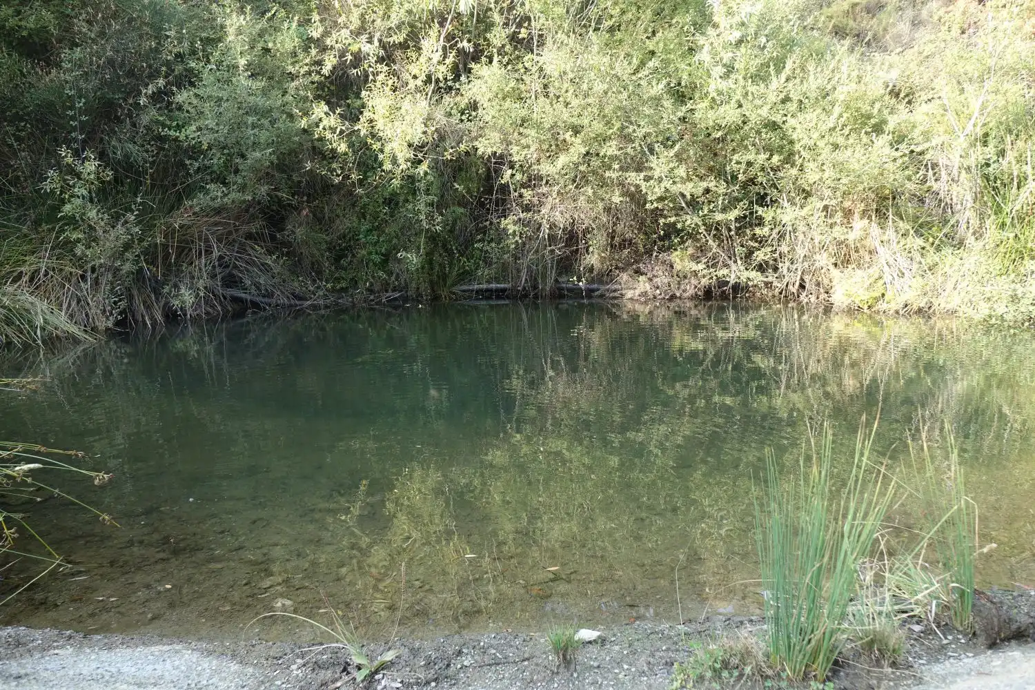 Piscina de Casa o xalet en venda en Pampaneira