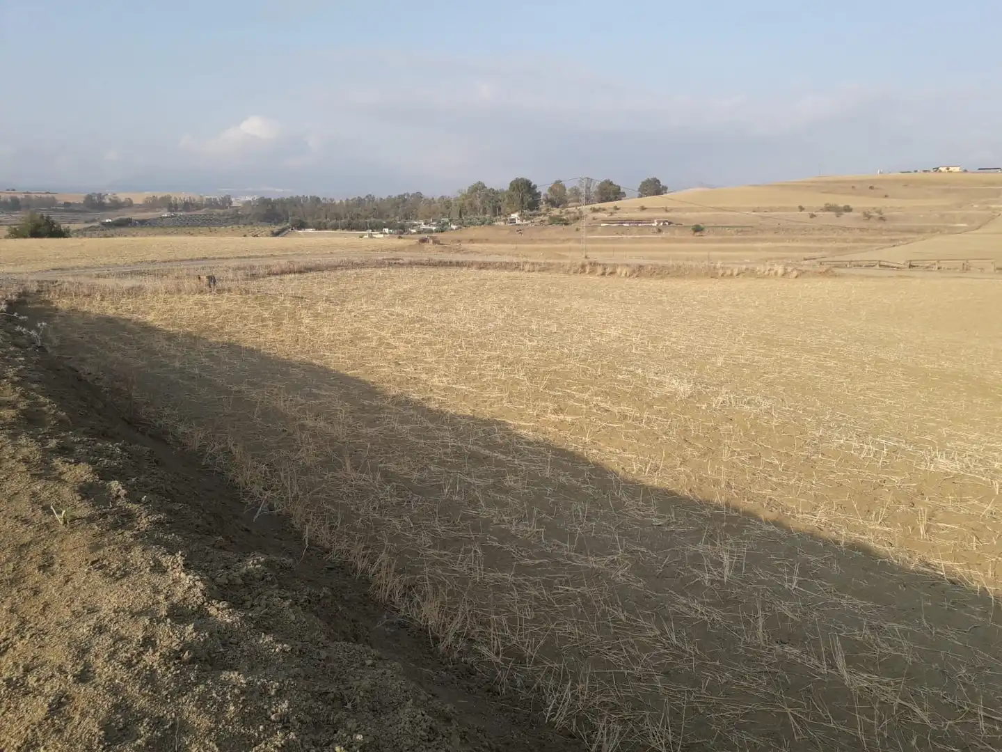Terrenys i solars en venda a Coín, imagen 7