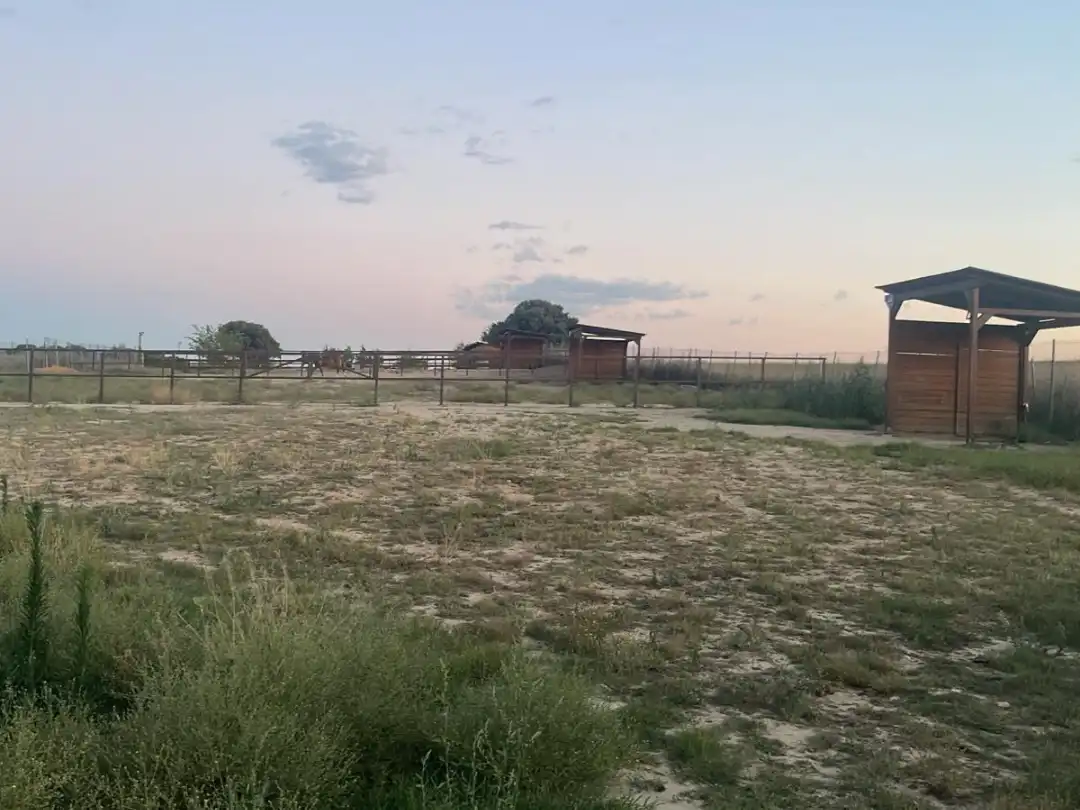 Terreno rustico in vendita a Camino de las Salinas 5, imagen 14