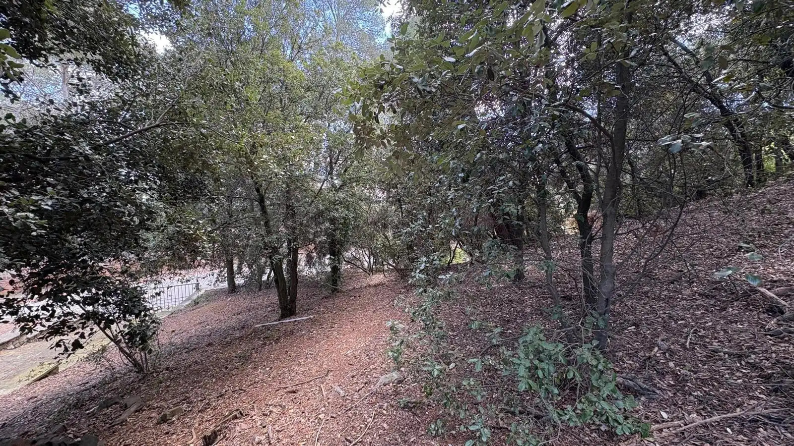 Terreno residencial en venta en El Racó - Sant Feliu del Racó, imagen 15
