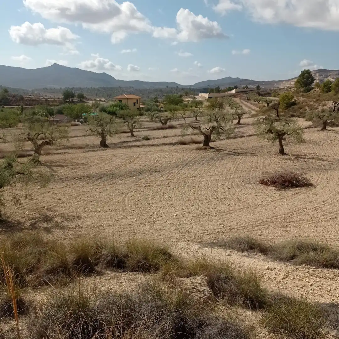 Terrain rustique à vendre à Hondón de las Nieves / El Fondó de les Neus, imagen 6