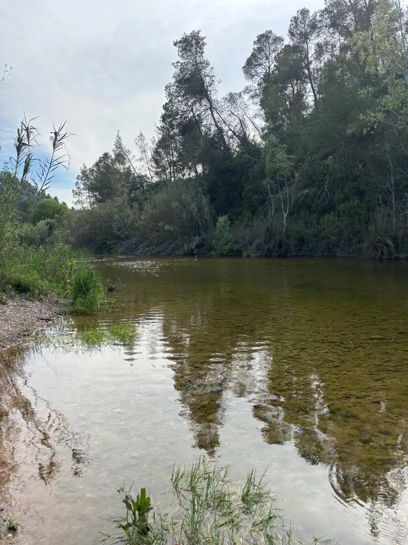 Exterior view of Land for sale in El Masroig