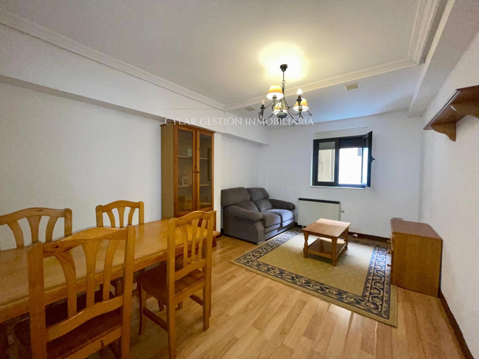 Sala d'estar de Pis de lloguer en Salamanca Capital amb Calefacció, Parquet i Moblat