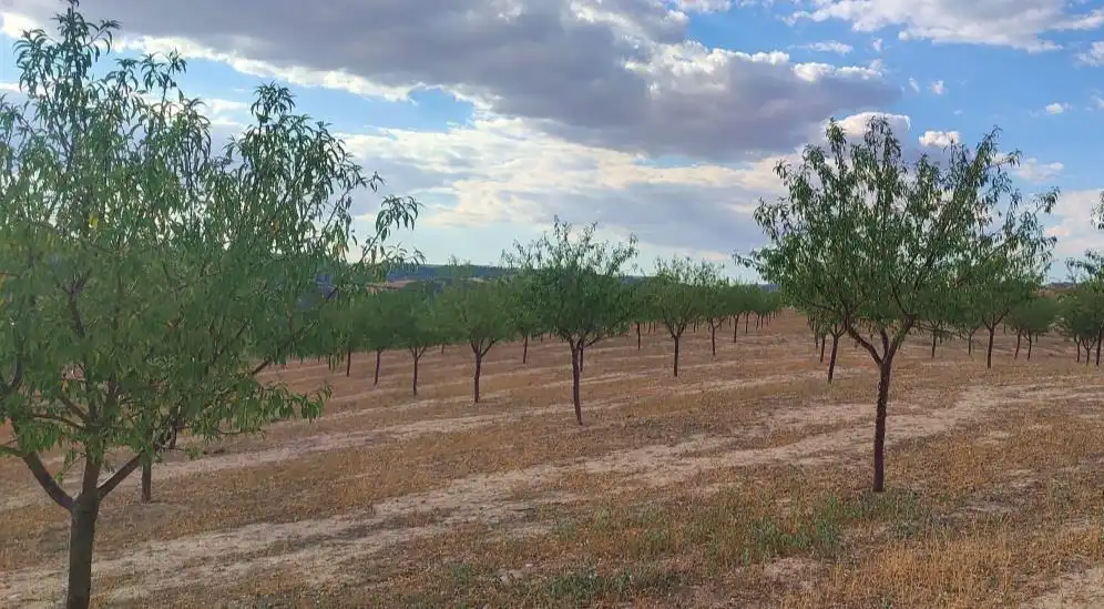 Terreno en venta en Huélago