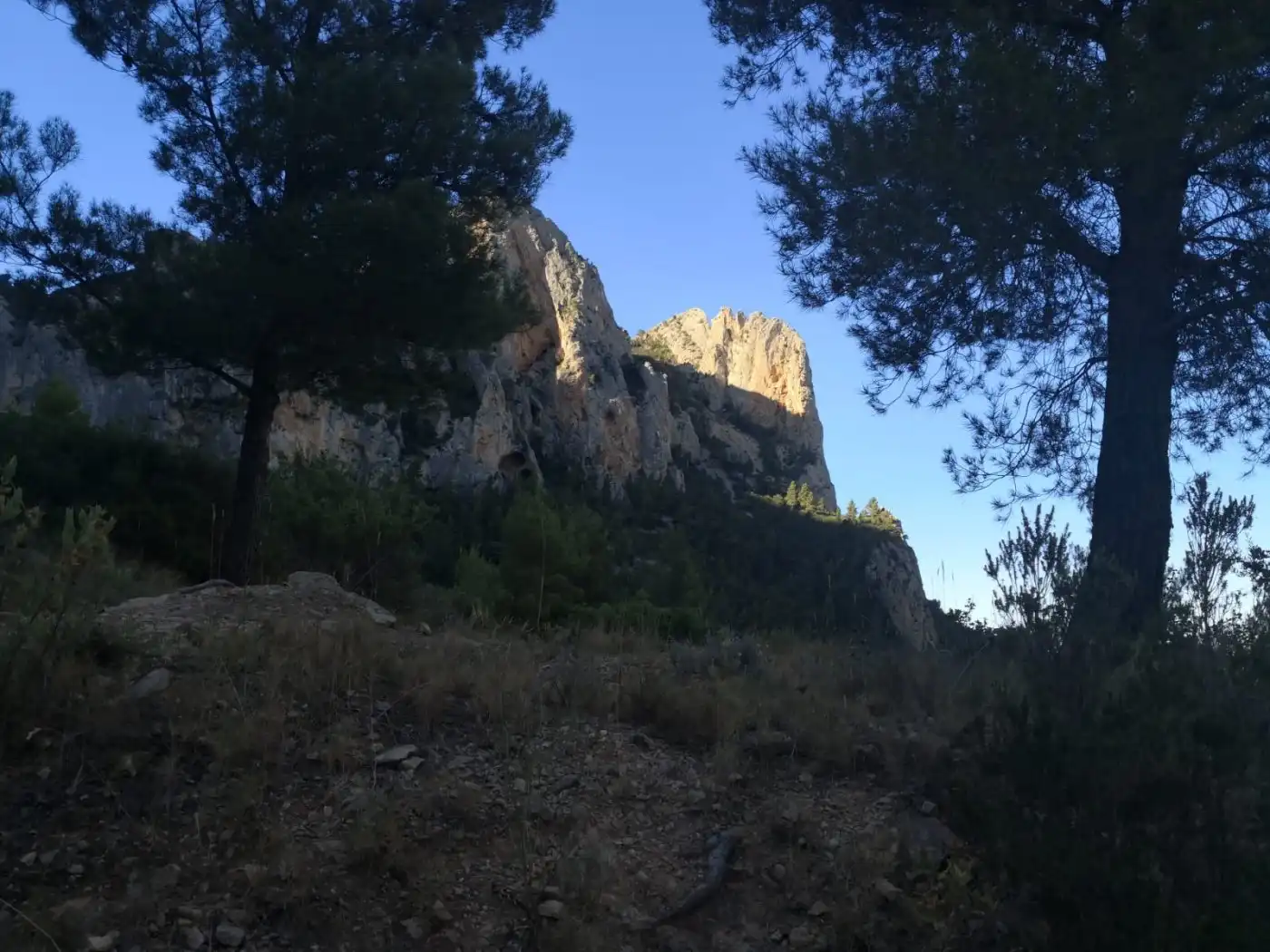 Terreny rústic en venda a Partida raco de seva, imagen 5