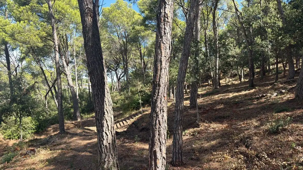 Lands and plots for sale in Sa Tamardia 19, imagen 14