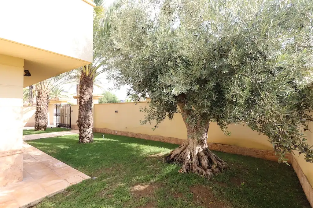 Villa avec piscine à vendre à Orihuela Costa, imagen 7