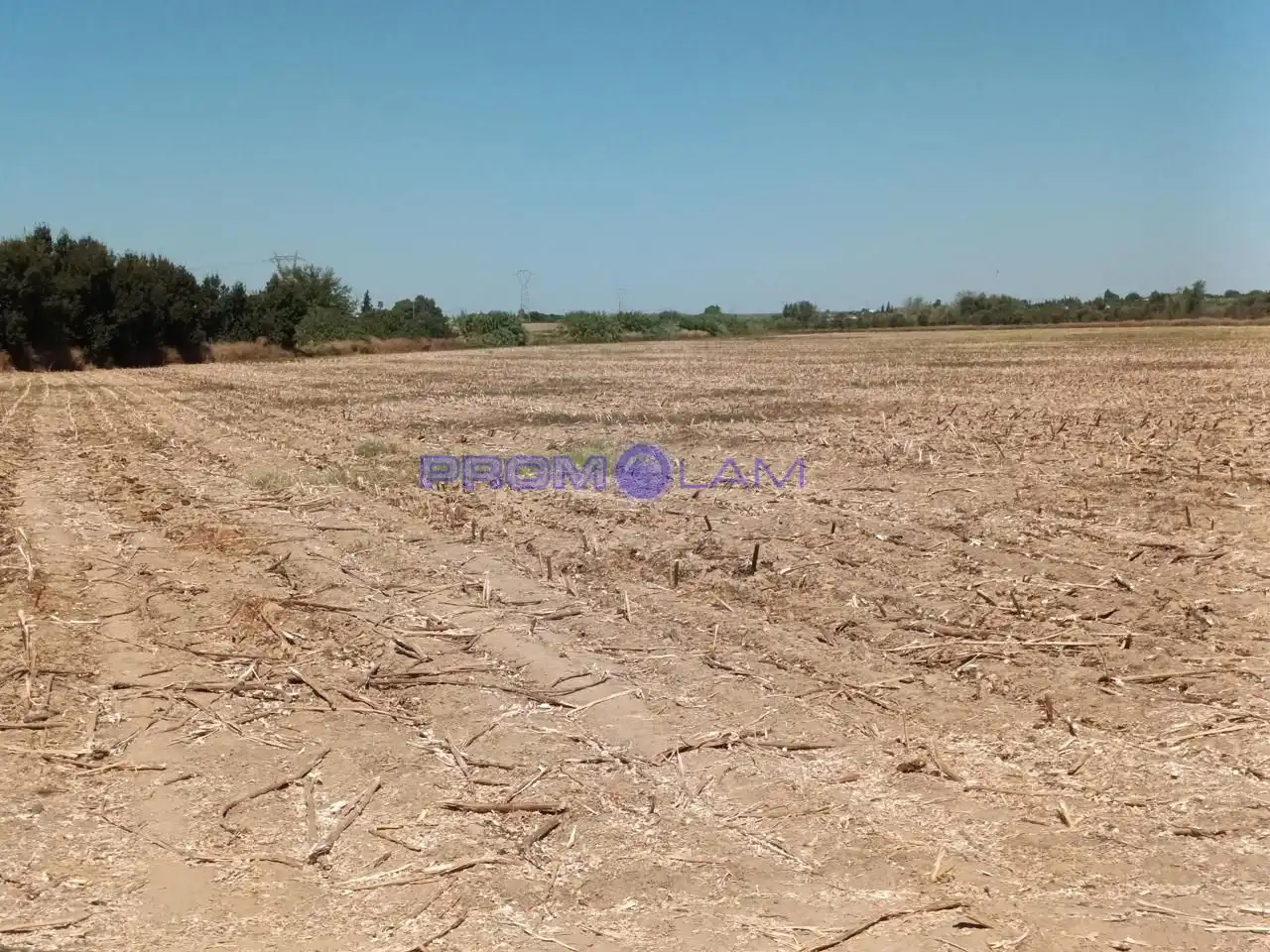 Lands and plots for sale in carretera, imagen 5
