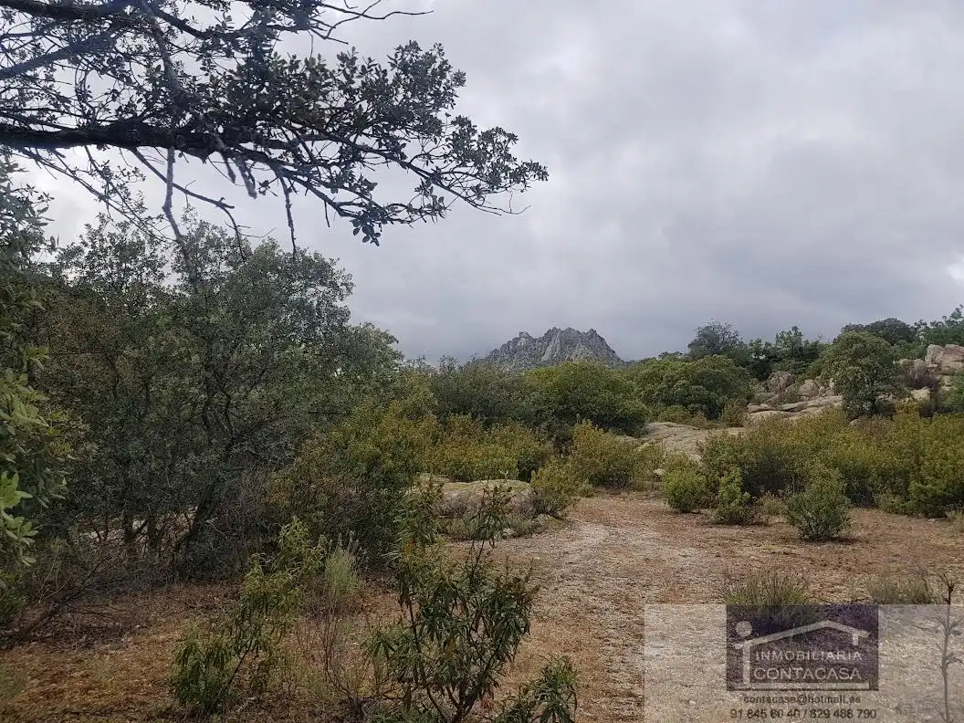 Finca rústica en venta en La Cabrera