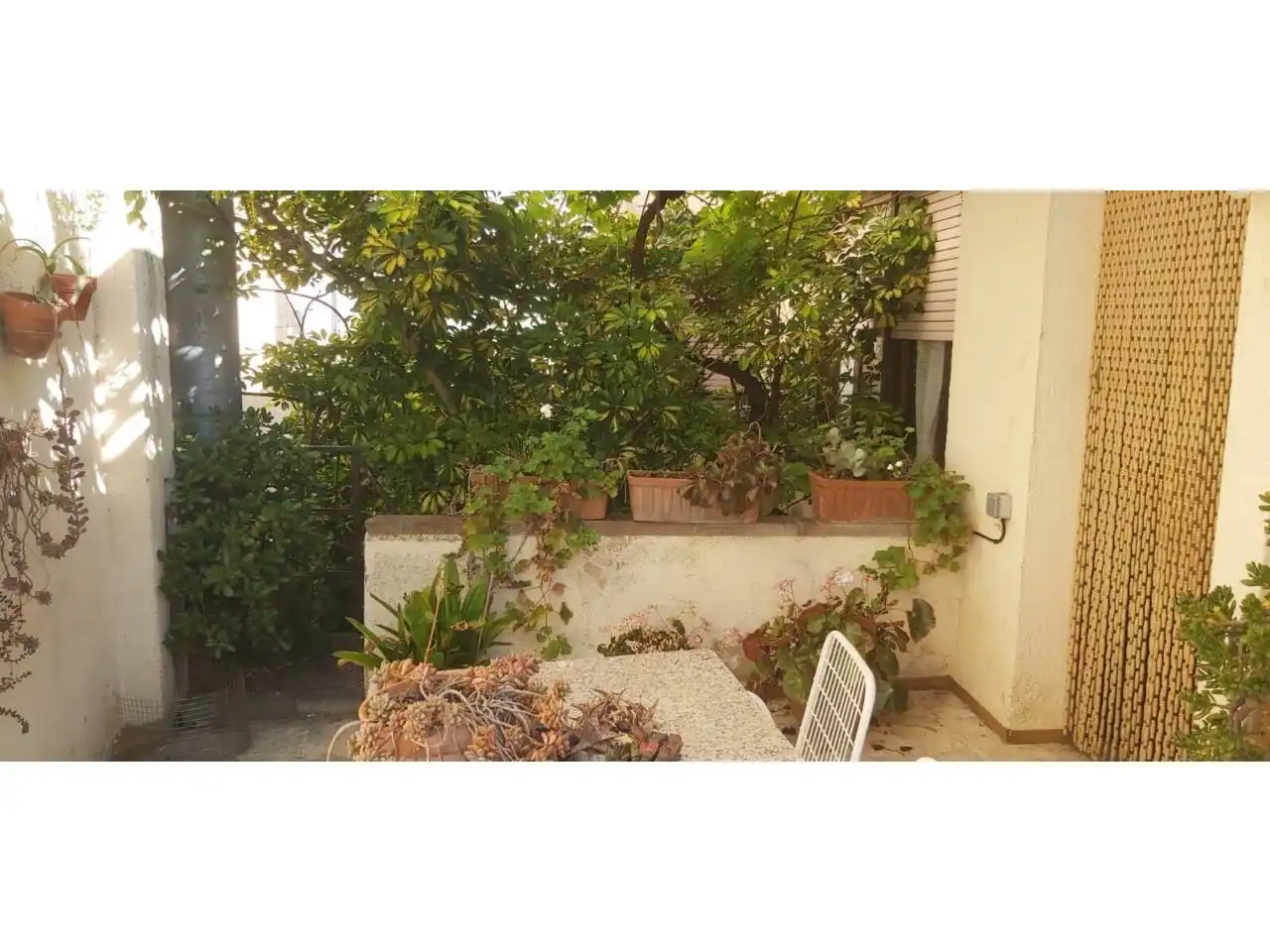 Jardí de Casa o xalet en venda en Alcover amb Jardí privat i Terrassa