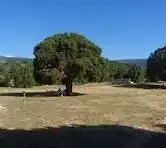 Terreni e lotti in vendita a Prádena, imagen 11