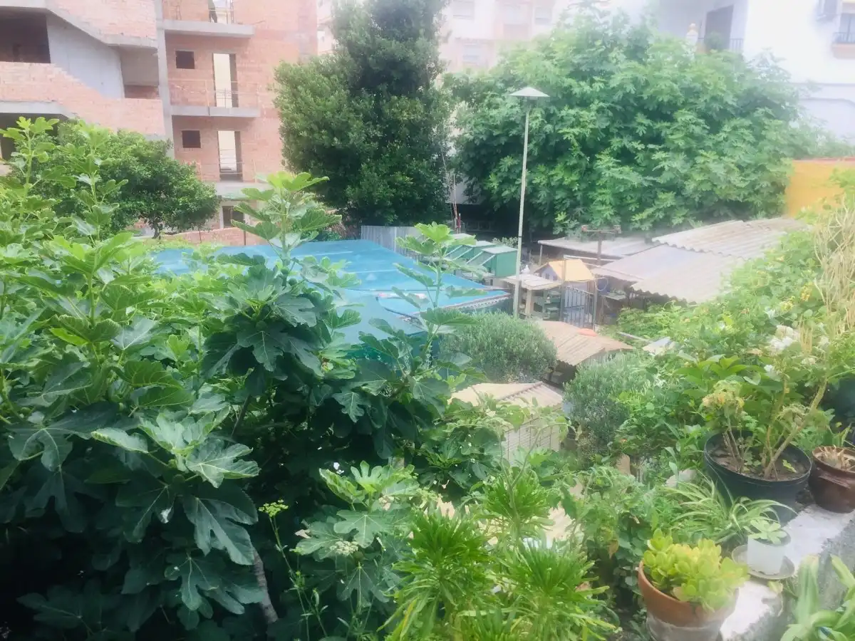 Terreni e lotti in vendita a Arroyo de la Miel, imagen 24