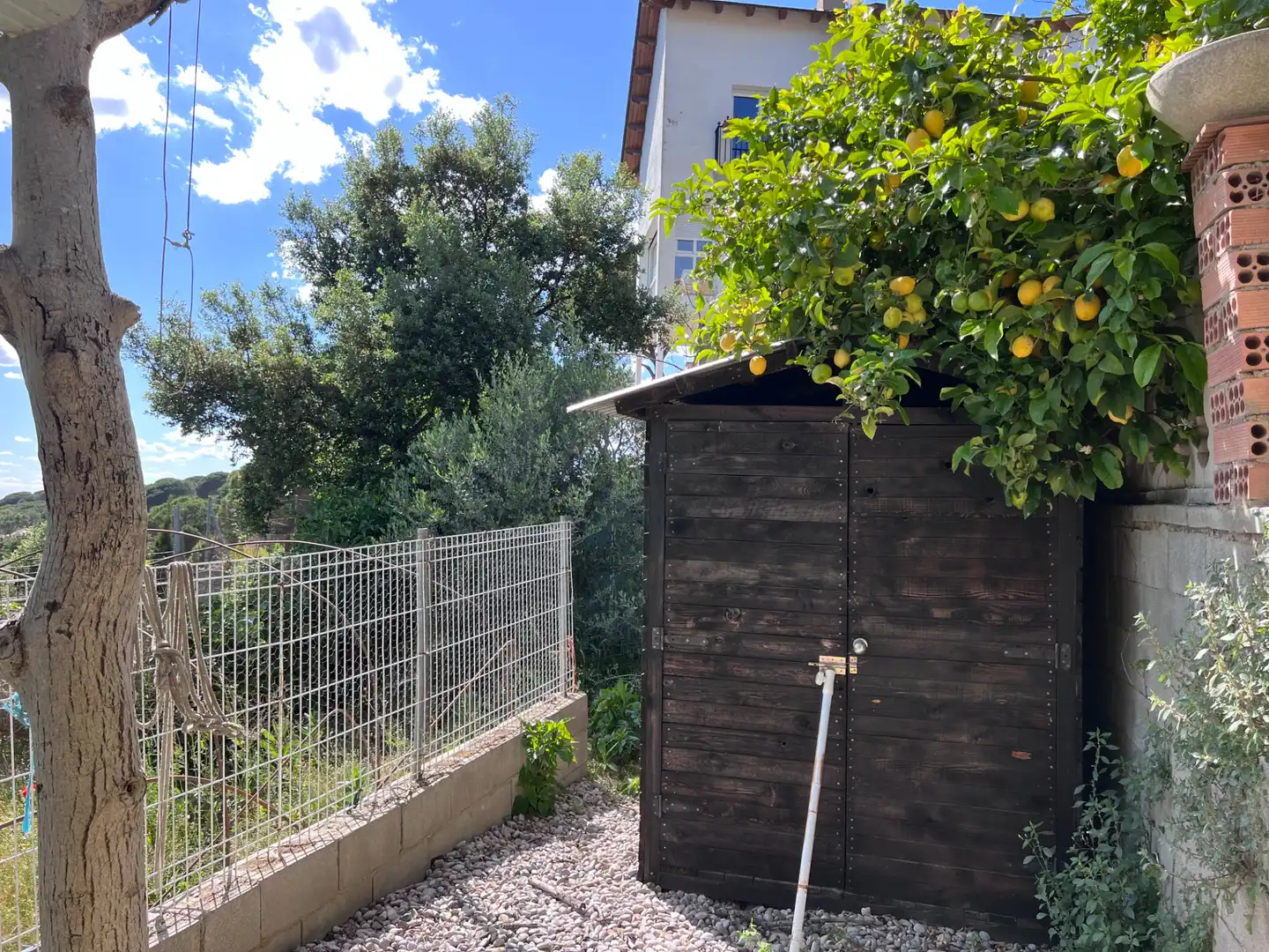 Jardín de Casa o chalet en venta en Dosrius con Aire acondicionado, Calefacción y Jardín privado