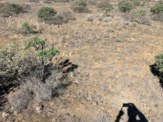 Land for sale in Telde