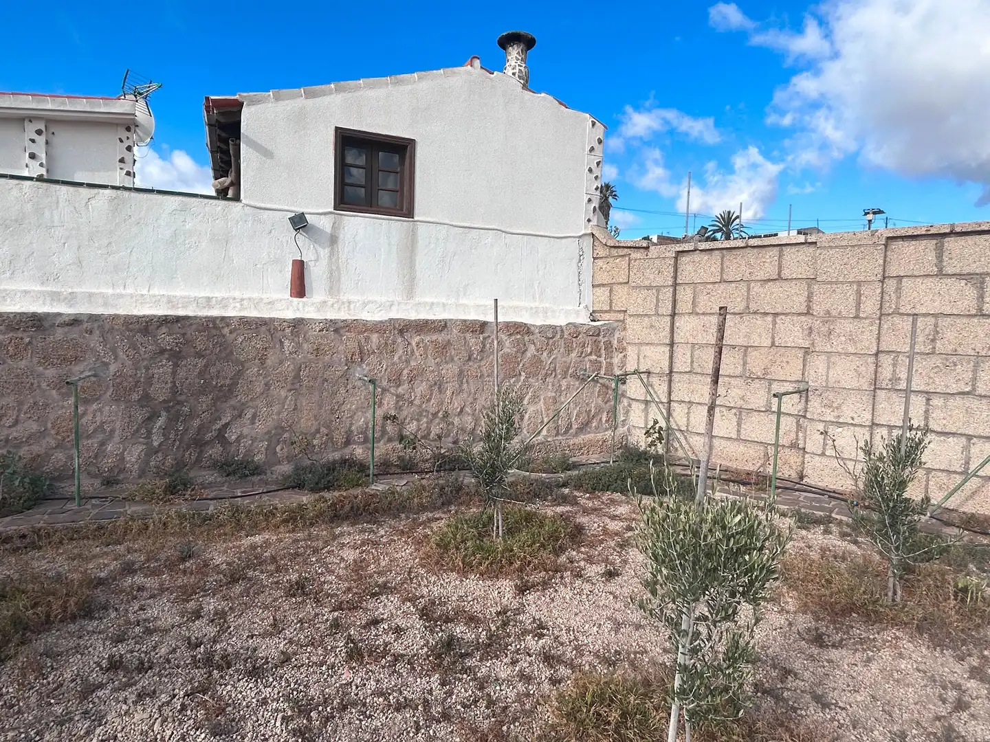 Jardí de Casa o xalet en venda en Granadilla de Abona amb Terrassa, Traster i Rentadora