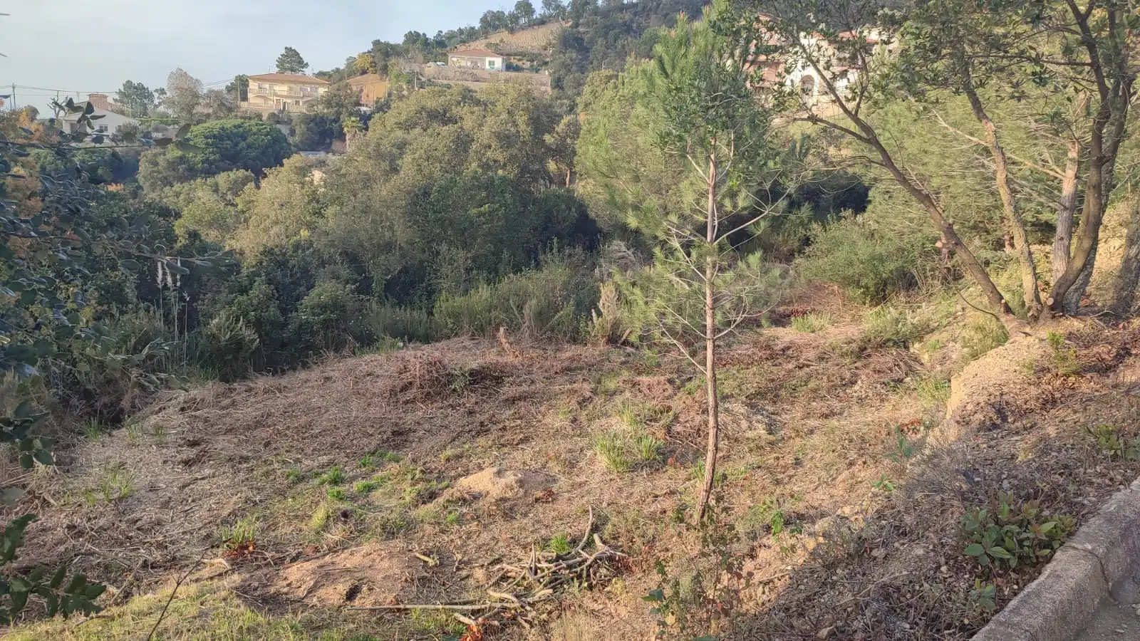 Terreny residencial en venda a Avinguda de la Senyera, imagen 6