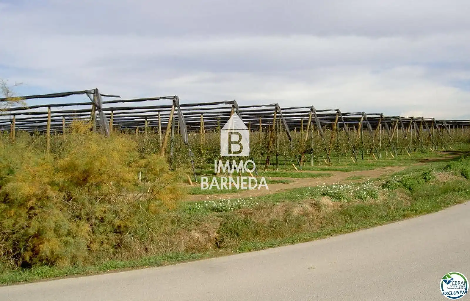 Rural land for sale in N/A, imagen 15