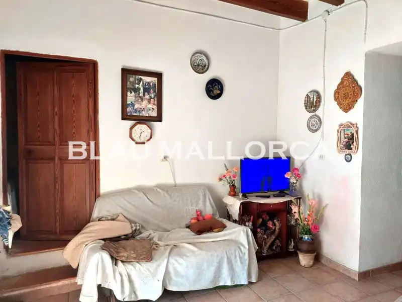 Sala de estar de Finca rústica en venta en Son Servera