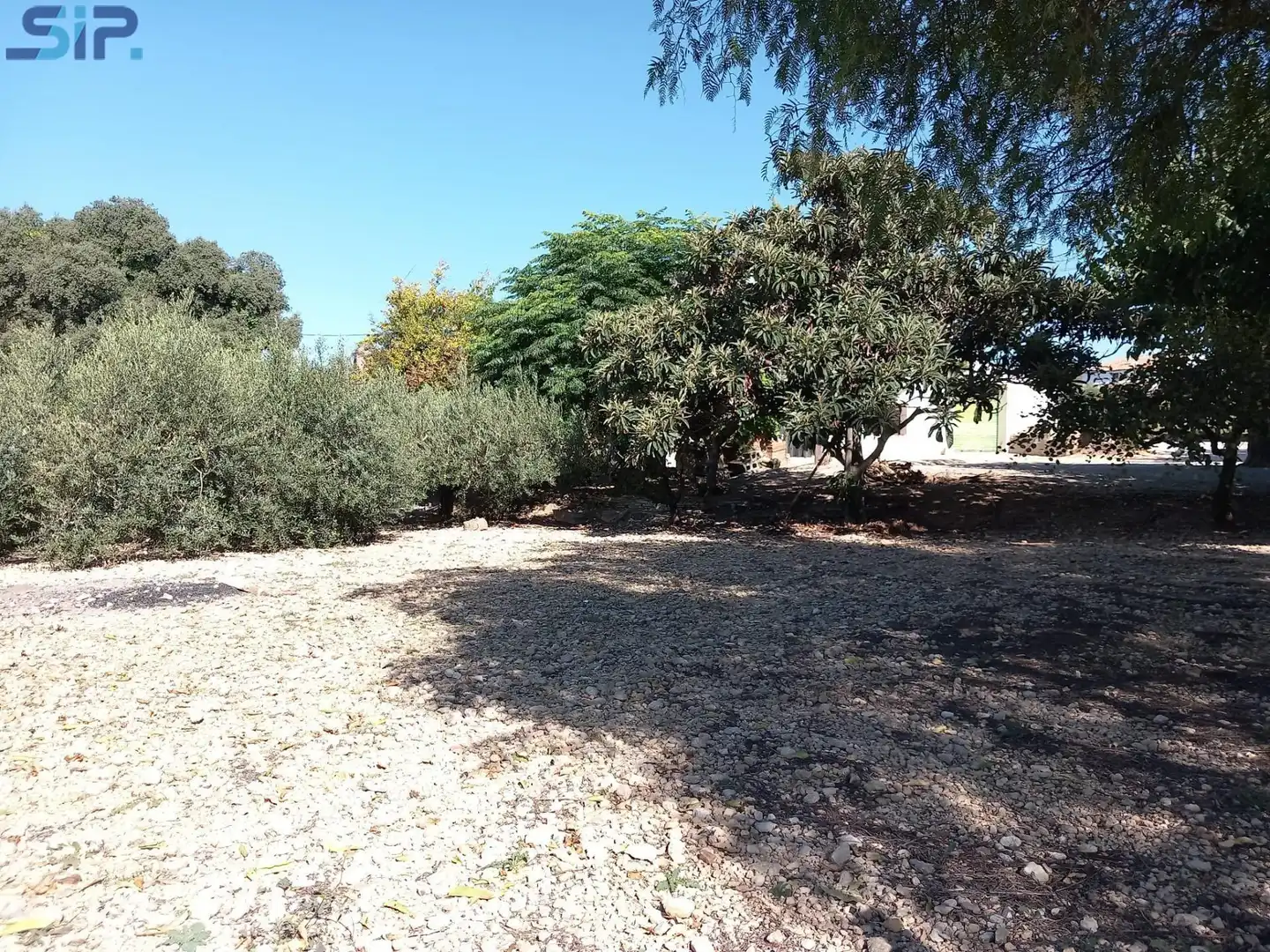 Houses for sale in Sant Martí Sarroca  with Storage room