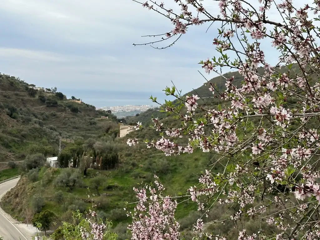 Casa rustica con piscina in vendita a Vélez-Málaga ciudad, imagen 36