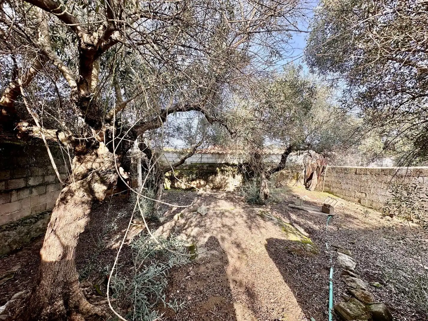 Maison rustique avec terrasse à vendre à Fuente Obejuna, imagen 19