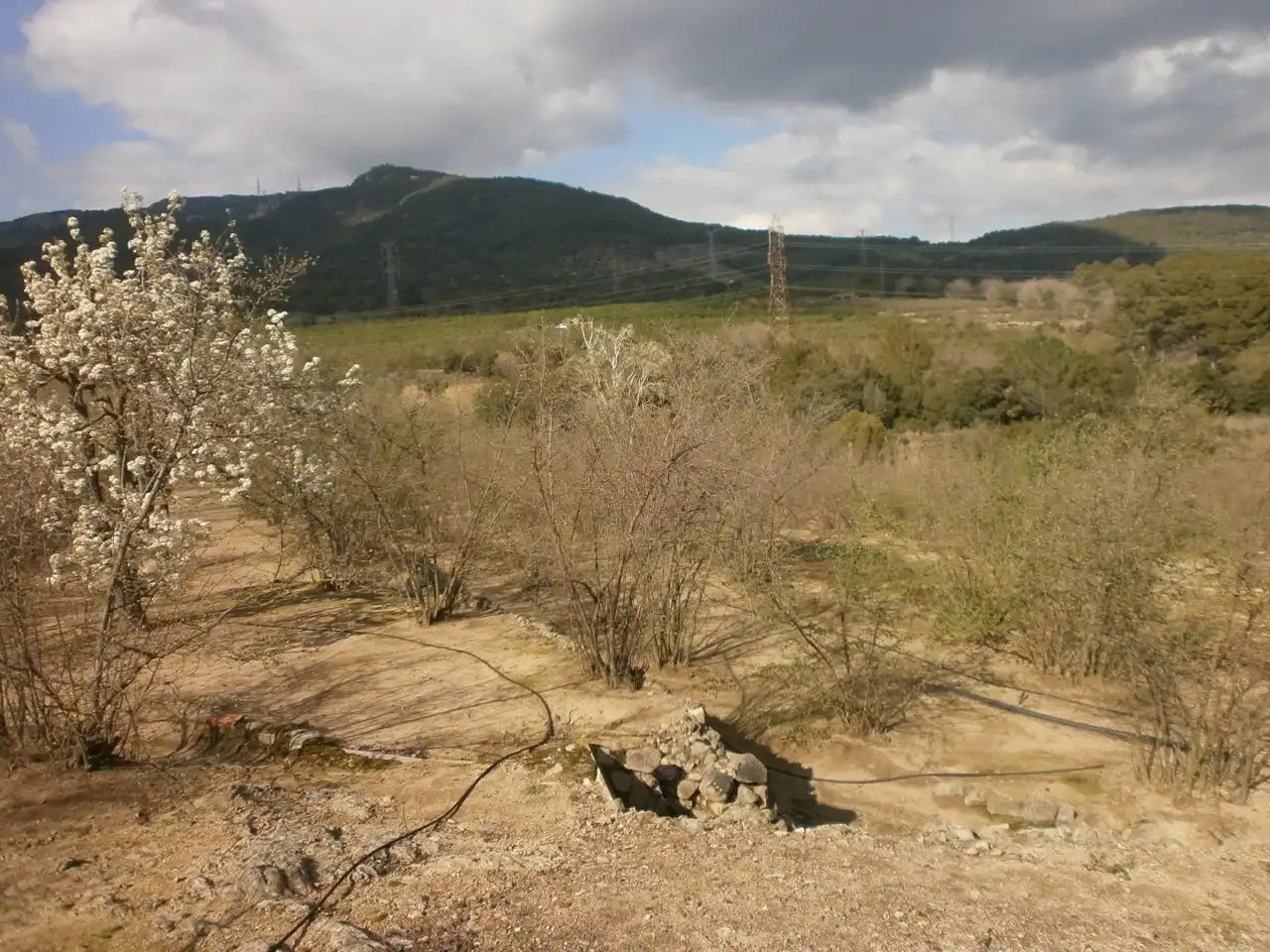 Land for sale in Vilaplana, Tarragona