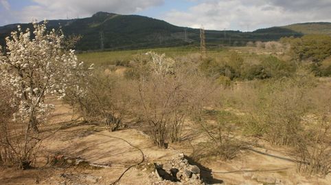 Foto 3 von Grundstücke zum Verkauf in Vilaplana, Tarragona