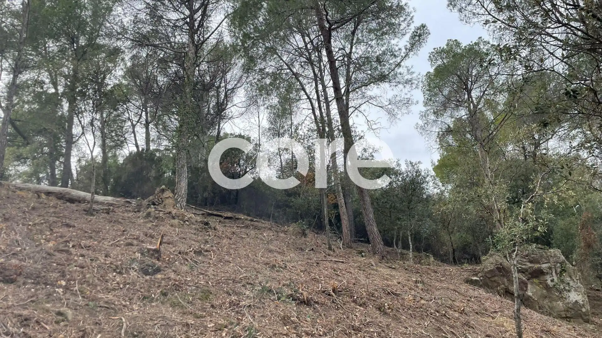 Wohnbaugrundstück zum Verkauf in El Racó - Sant Feliu del Racó, imagen 5