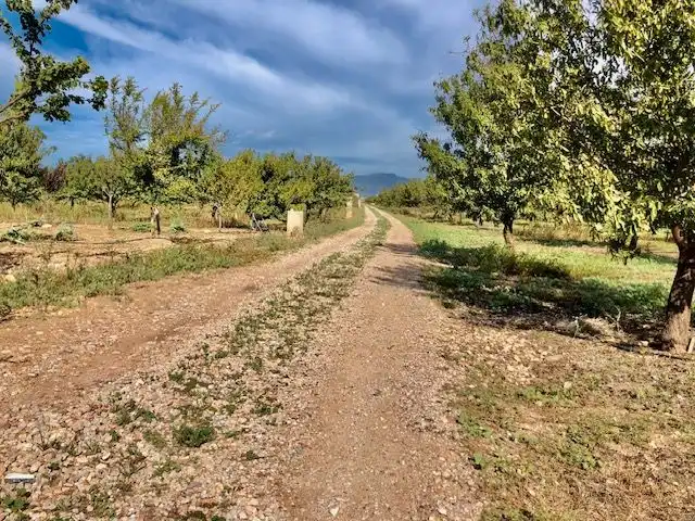 Casa rústica con terraza en venta en Llevant, imagen 21
