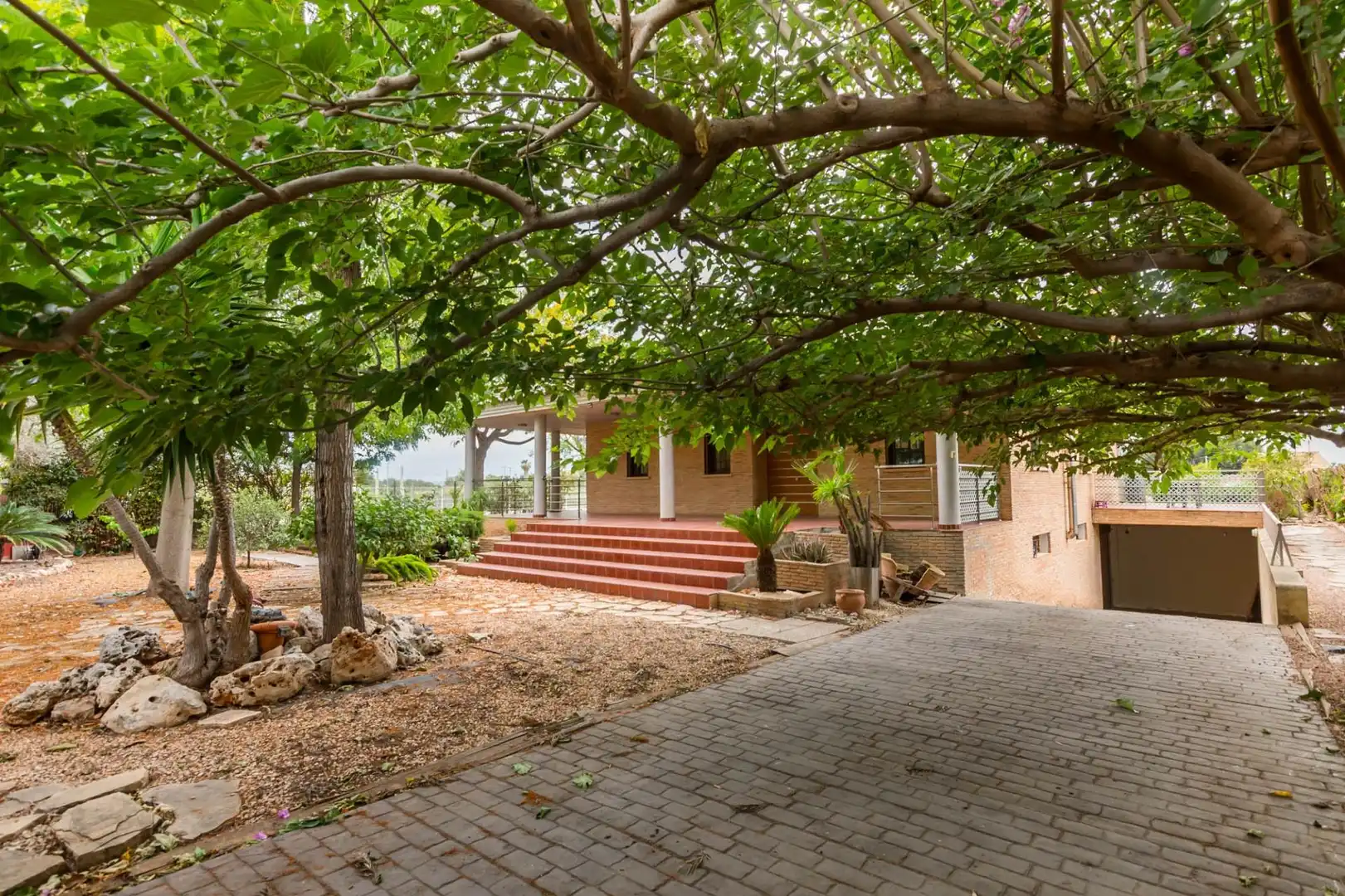 Vista exterior de Casa o chalet en venta en Murcia con Aire acondicionado, Calefacción y Jardín privado