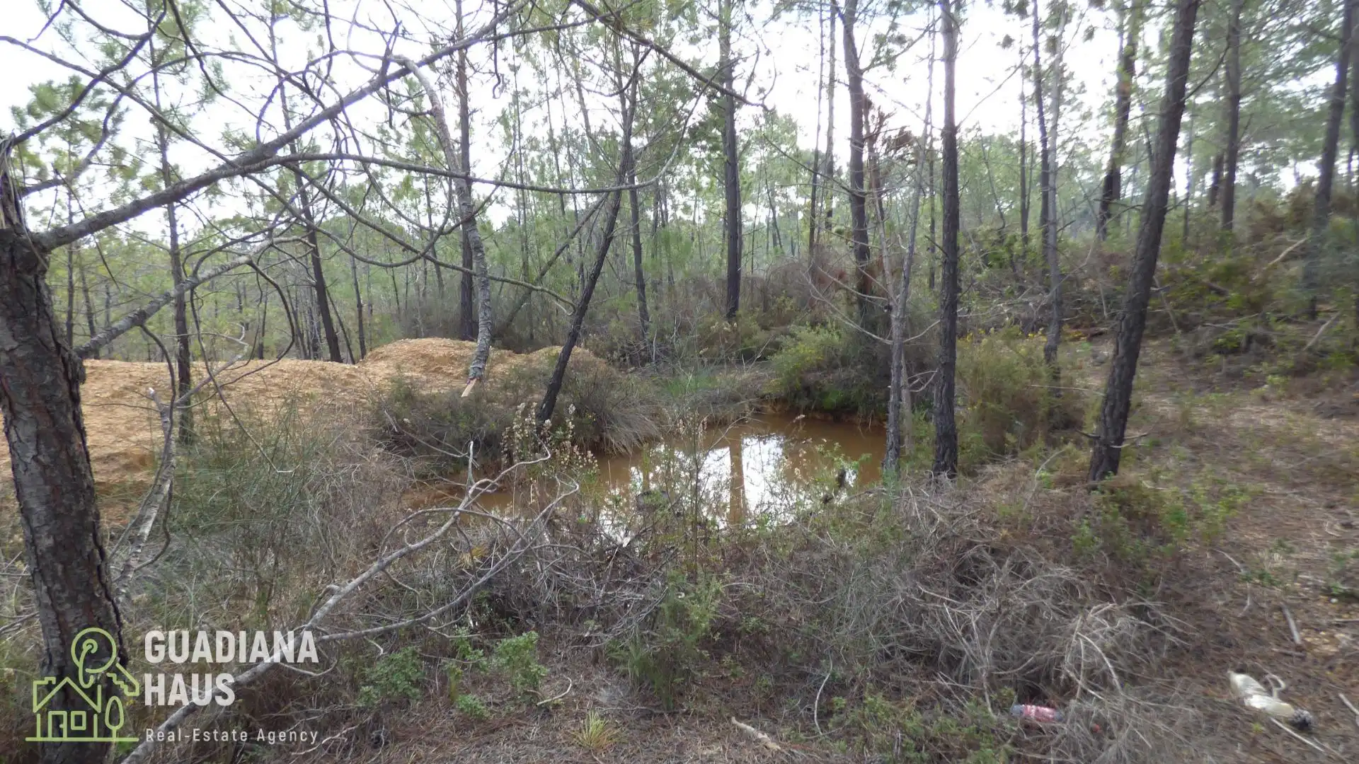Finca rústica en venda en Villablanca amb Jardí privat i Traster
