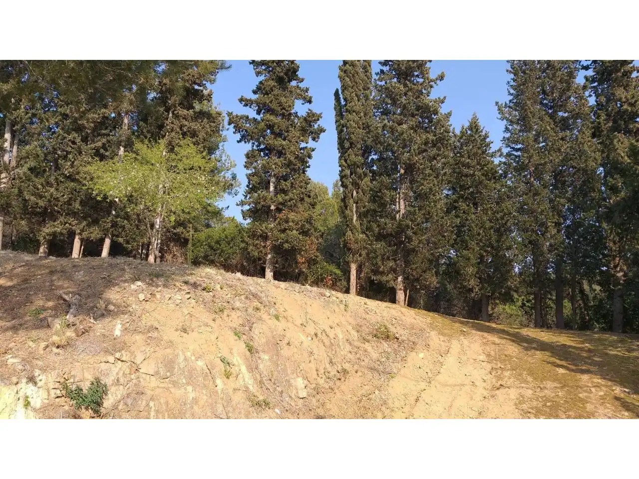 Terreno rústico en venta en Frontanya