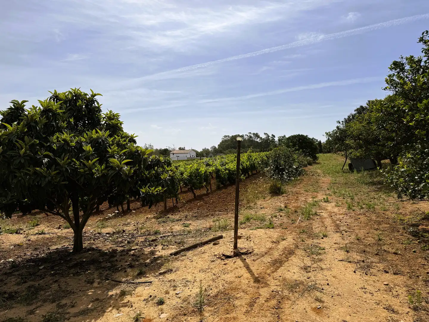 Land for sale in Chiclana de la Frontera