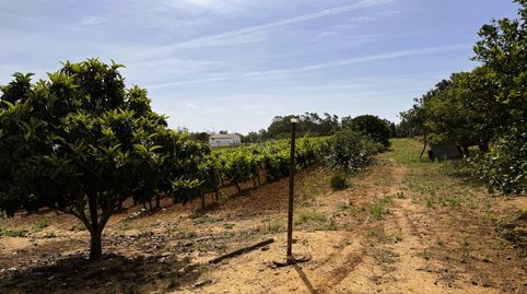 Photo 5 of Land for sale in Ds Pago Melilla 657 Suelo Polígono 16 Parcela 657, Las Lagunas - Campano, Chiclana de la Frontera