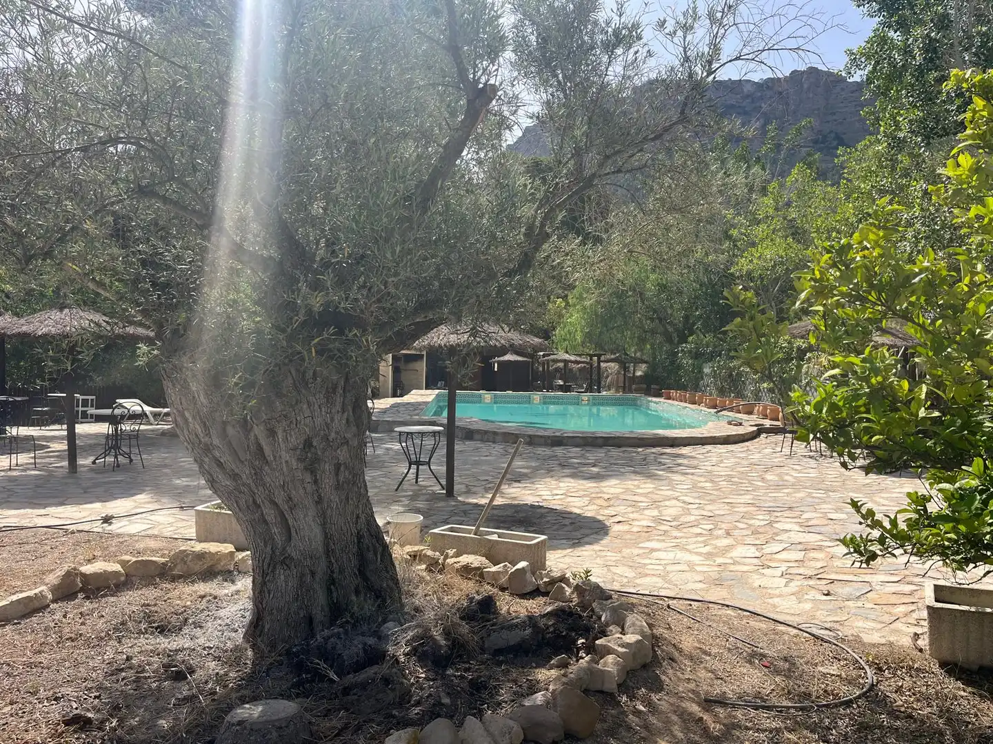 Piscina de Finca rústica en venta en Murcia con Aire acondicionado, Calefacción y Jardín privado