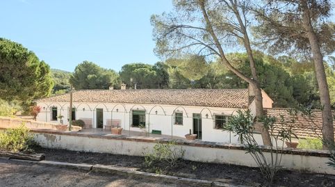 Foto 4 de Finca rústica en venta en Ibi, Alicante