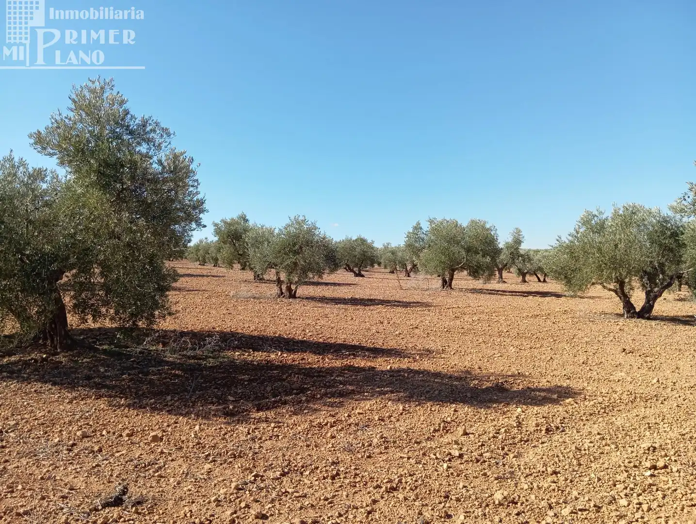 Terrenys i solars en venda a Argamasilla de Alba, imagen 4