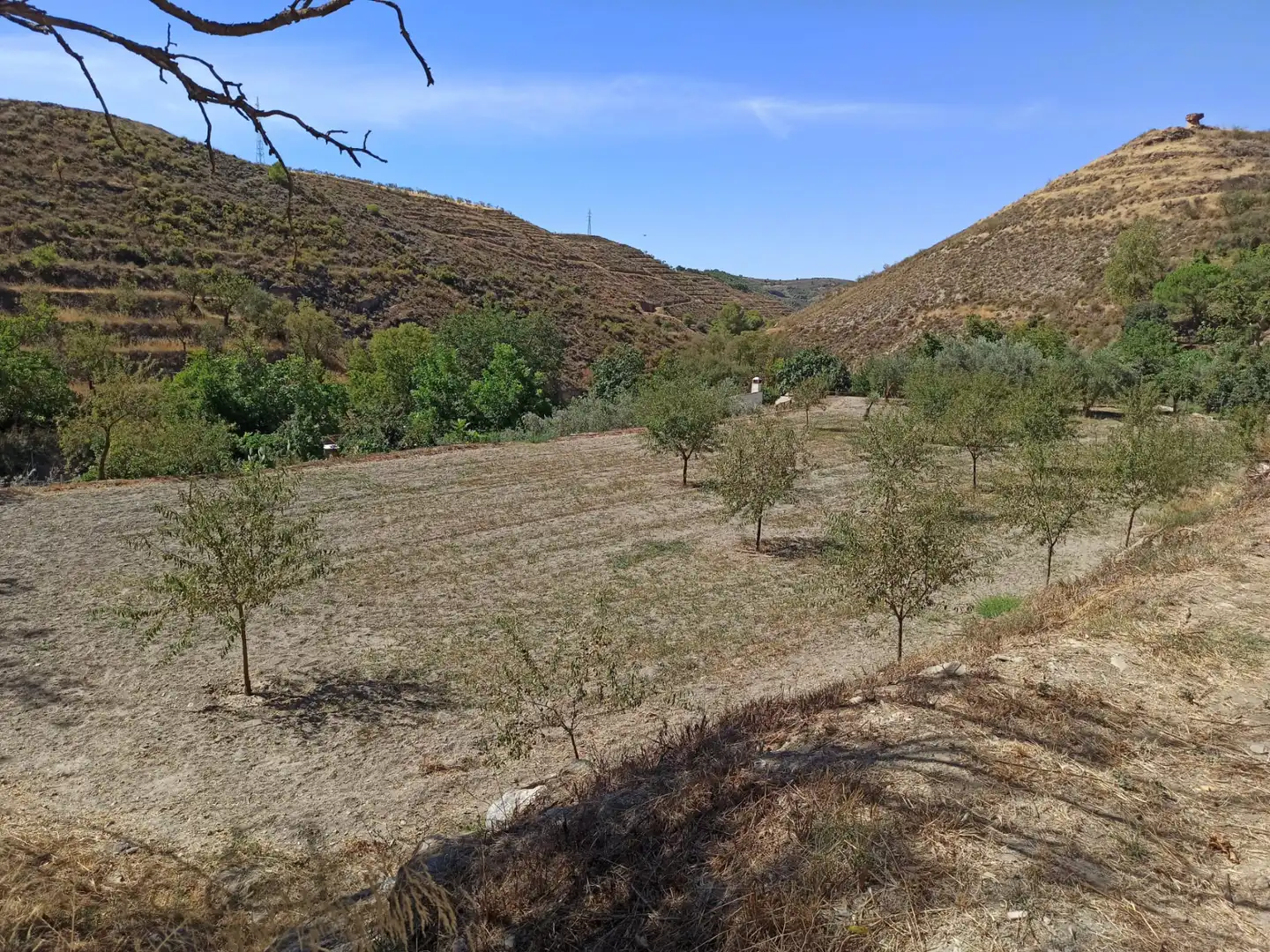 Finca rústica en venta en Dúrcal con Jardín privado, Terraza y Amueblado