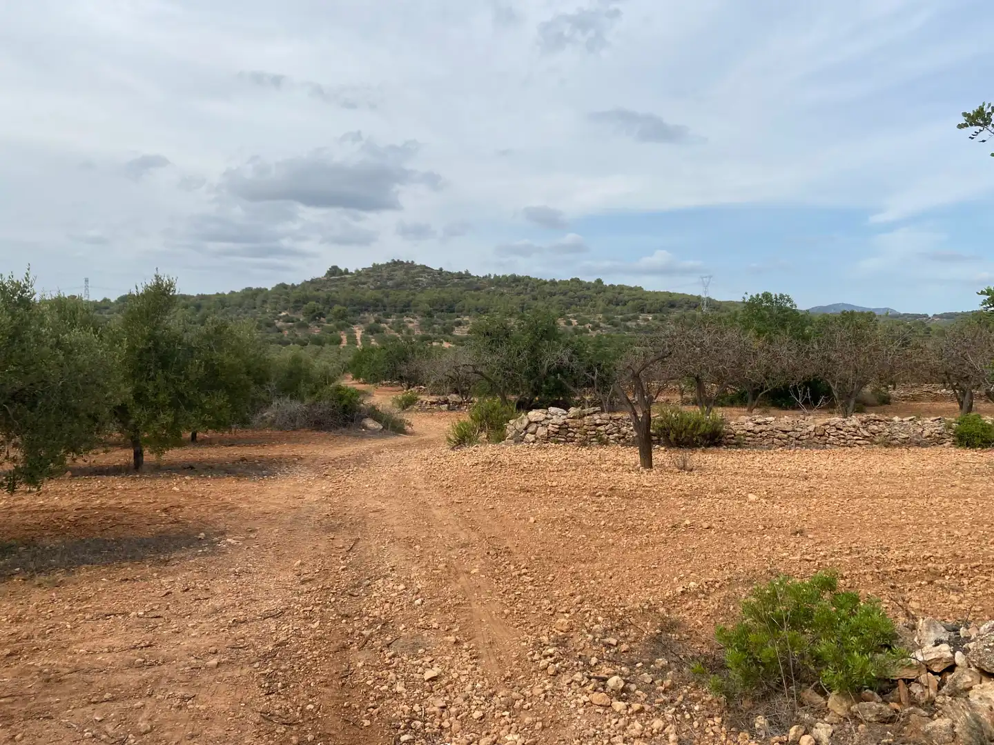 Terrain rustique à vendre à Carrer Camí de Montferri, imagen 2