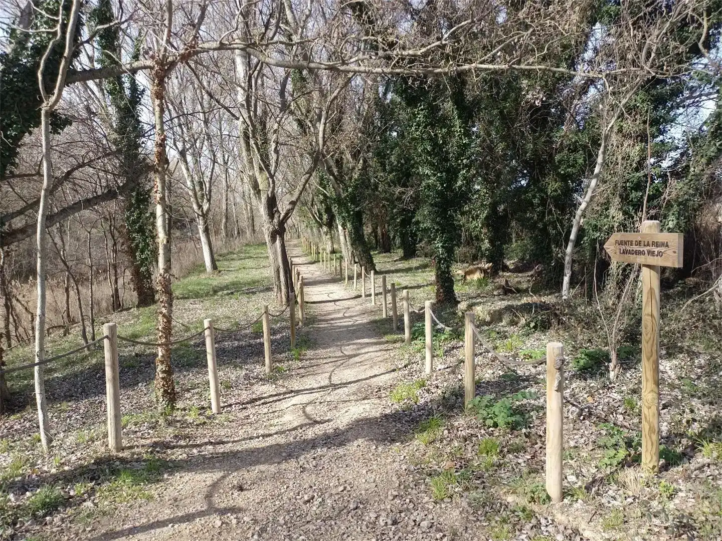 Finca rústica en venta en Olite / Erriberri, Navarra