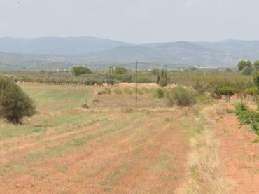 Terreno rustico in vendita a Polígono 2