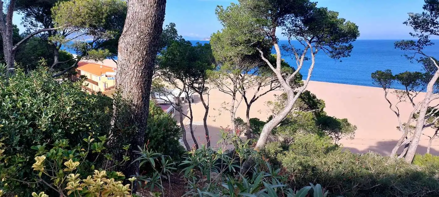 Detached house with pool for sale in Sa Riera - Sa Fontansa, imagen 41