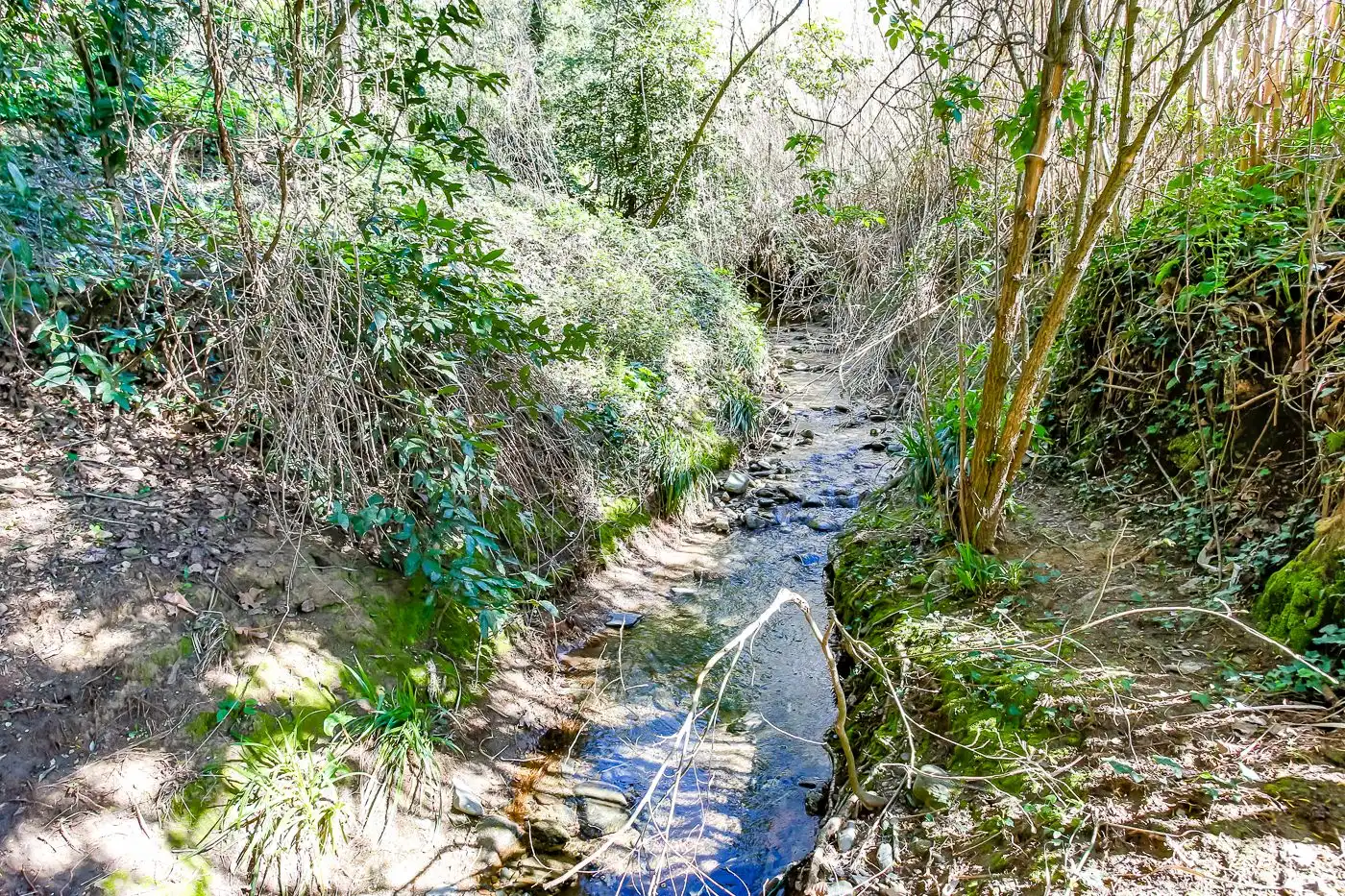 Vista exterior de Finca rústica en venta en Sant Antoni de Vilamajor