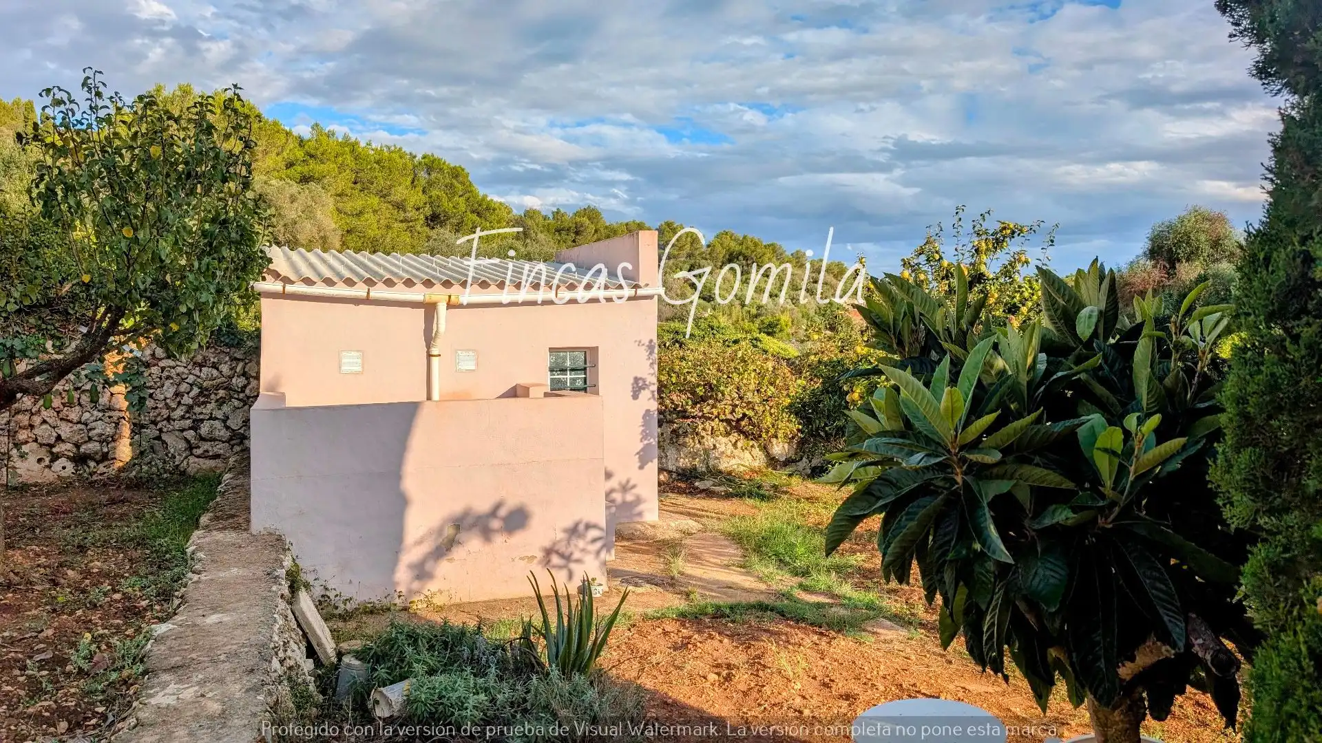 Terreno rustico in vendita a Nova, imagen 5