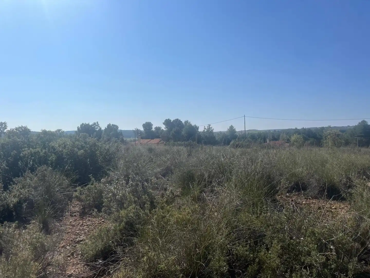 Terreni e lotti in vendita a Almansa, imagen 14
