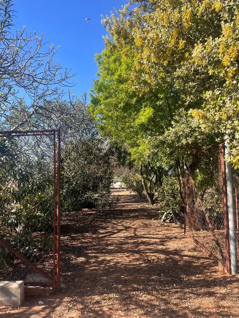 Casa o chalet en venta en Carmona