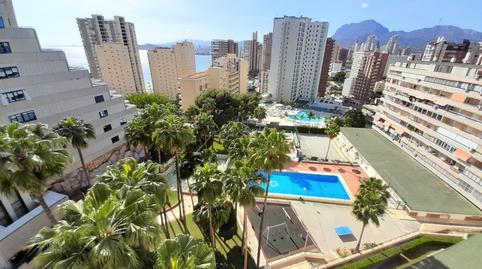 Foto 3 de Apartament de lloguer a Rincón Alto, Benidorm