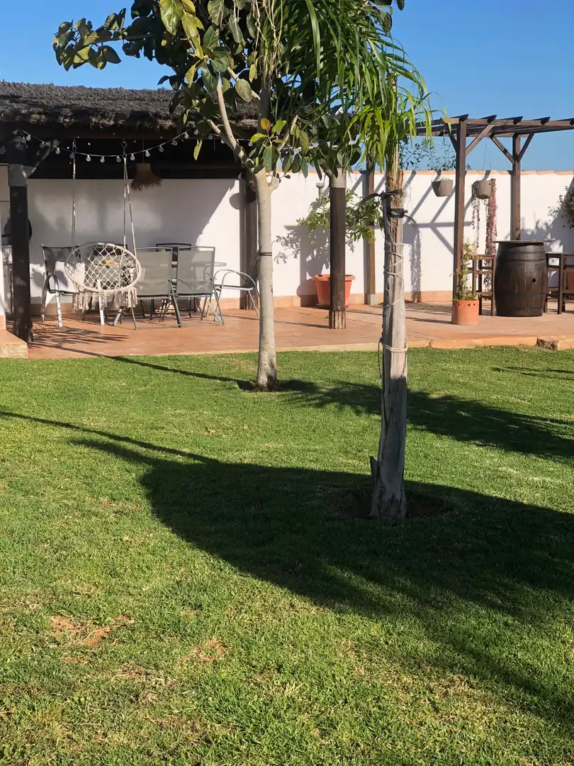 Jardí de Casa o xalet de lloguer en Chiclana de la Frontera amb Aire condicionat, Jardí privat i Terrassa